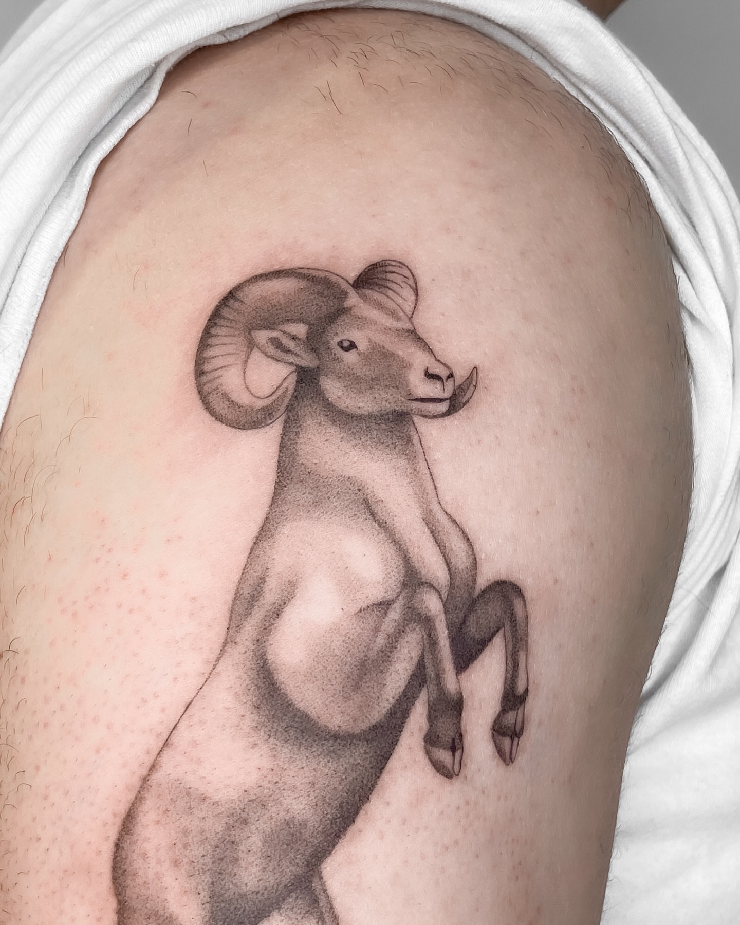 Tattoo by @manuel.dinstruction — realism