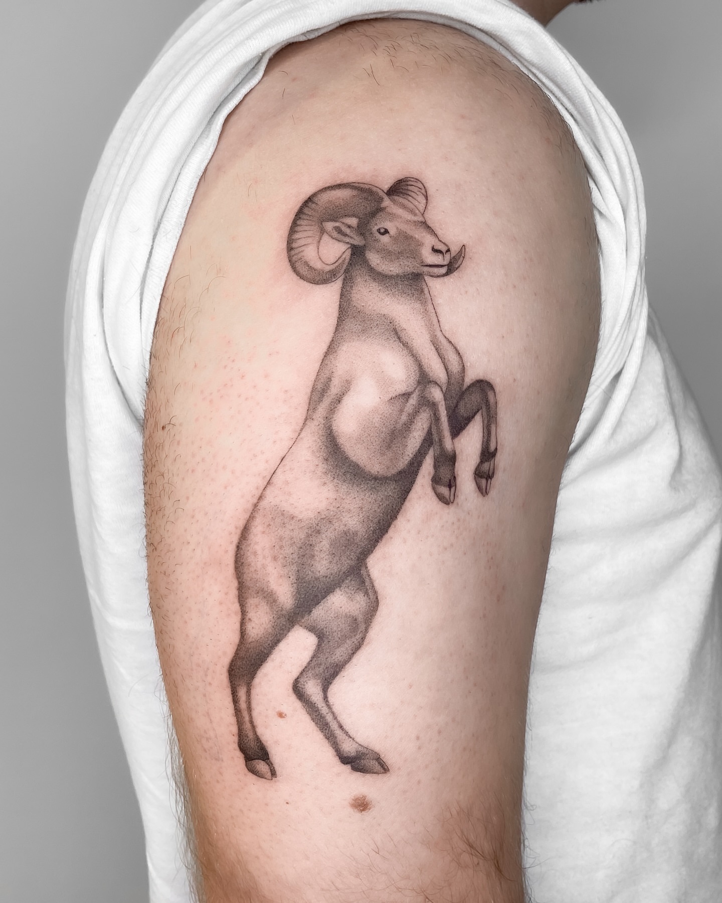 Tattoo by @manuel.dinstruction — black_and_grey