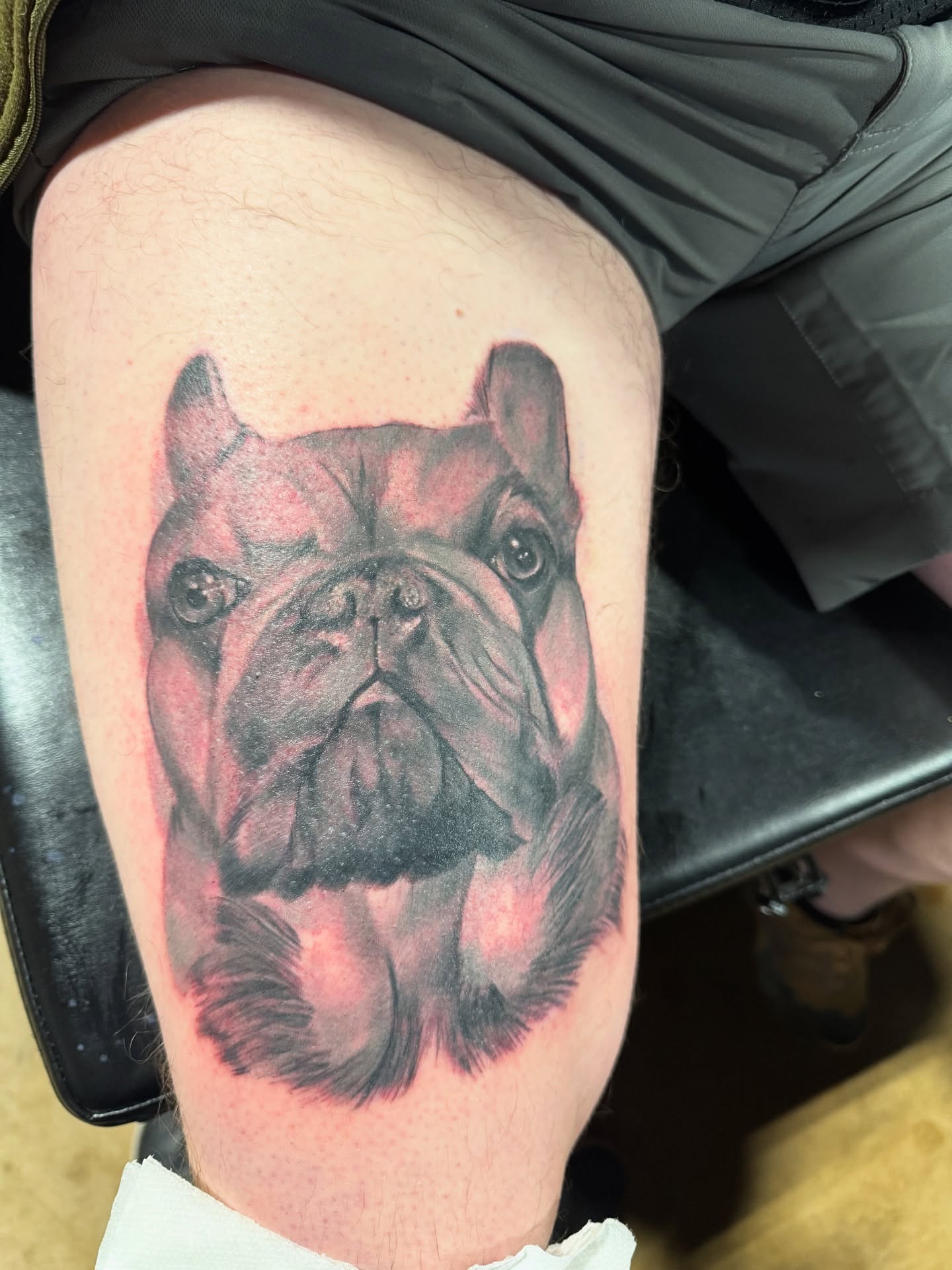 Bulldog realism tattoo on the thigh by Garrett Rautio