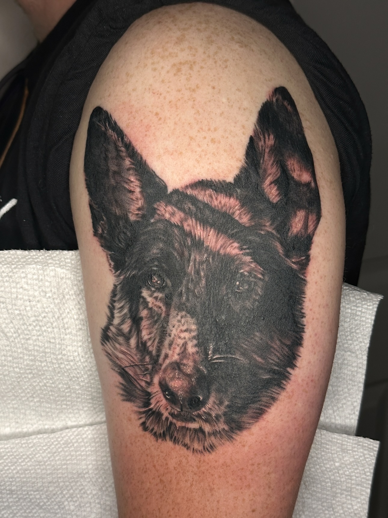 Dog realism tattoo on the shoulder by Nashville Tattoo Artist - Nicolette Madlyne