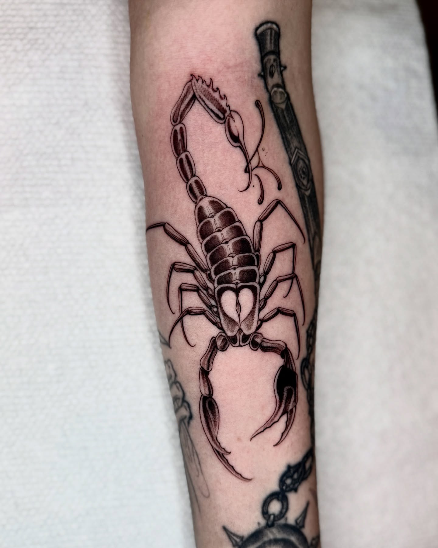 Scorpion black and grey tattoo on the forearm by Angelo Buonanno, Las Vegas, Nevada