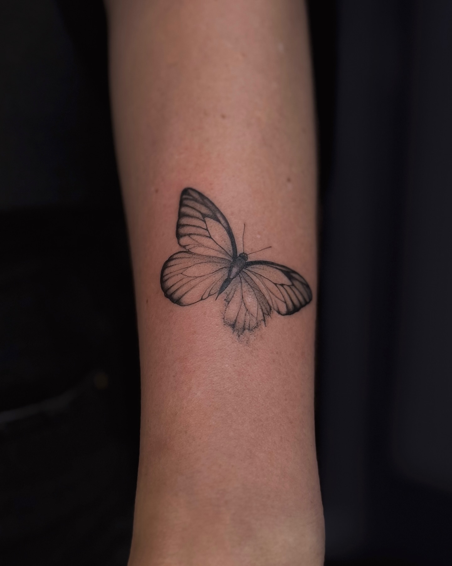 Butterfly black and grey tattoo on the forearm by Daria