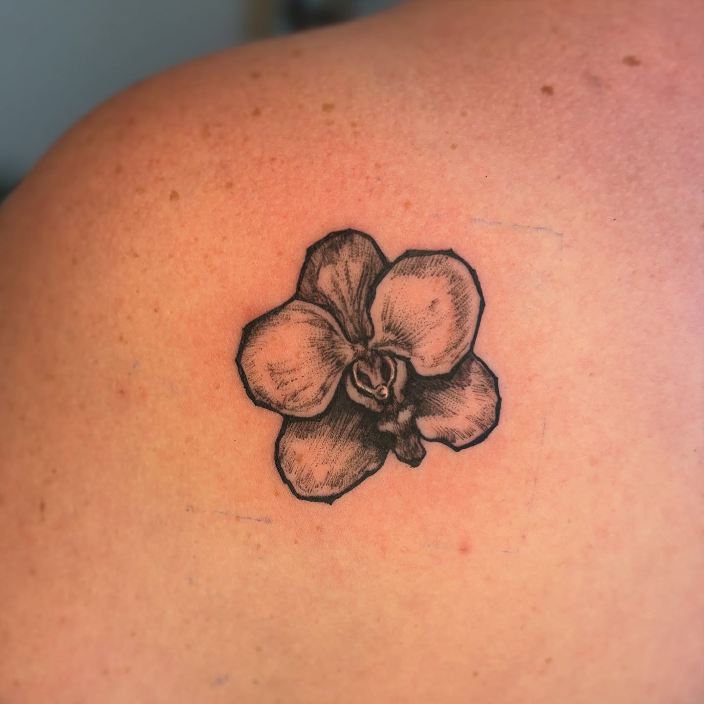 Orchid black and grey tattoo on the shoulder by Wren Cavanaugh Tattoos, Seattle, Washington