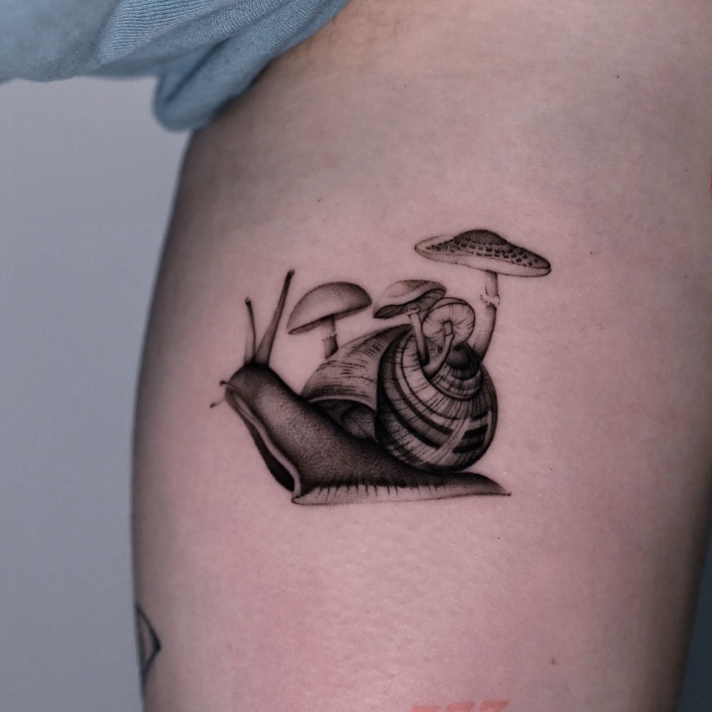 Snail and mushroom black and grey tattoo on the forearm by dom