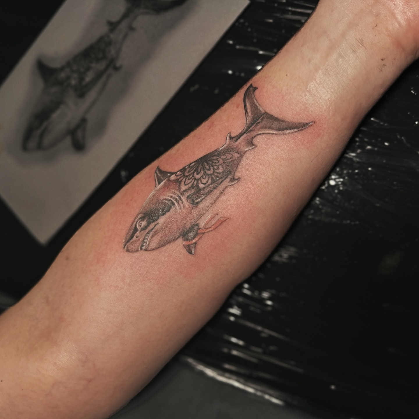 Shark black and grey tattoo on the forearm by Jewels, St. George, Utah