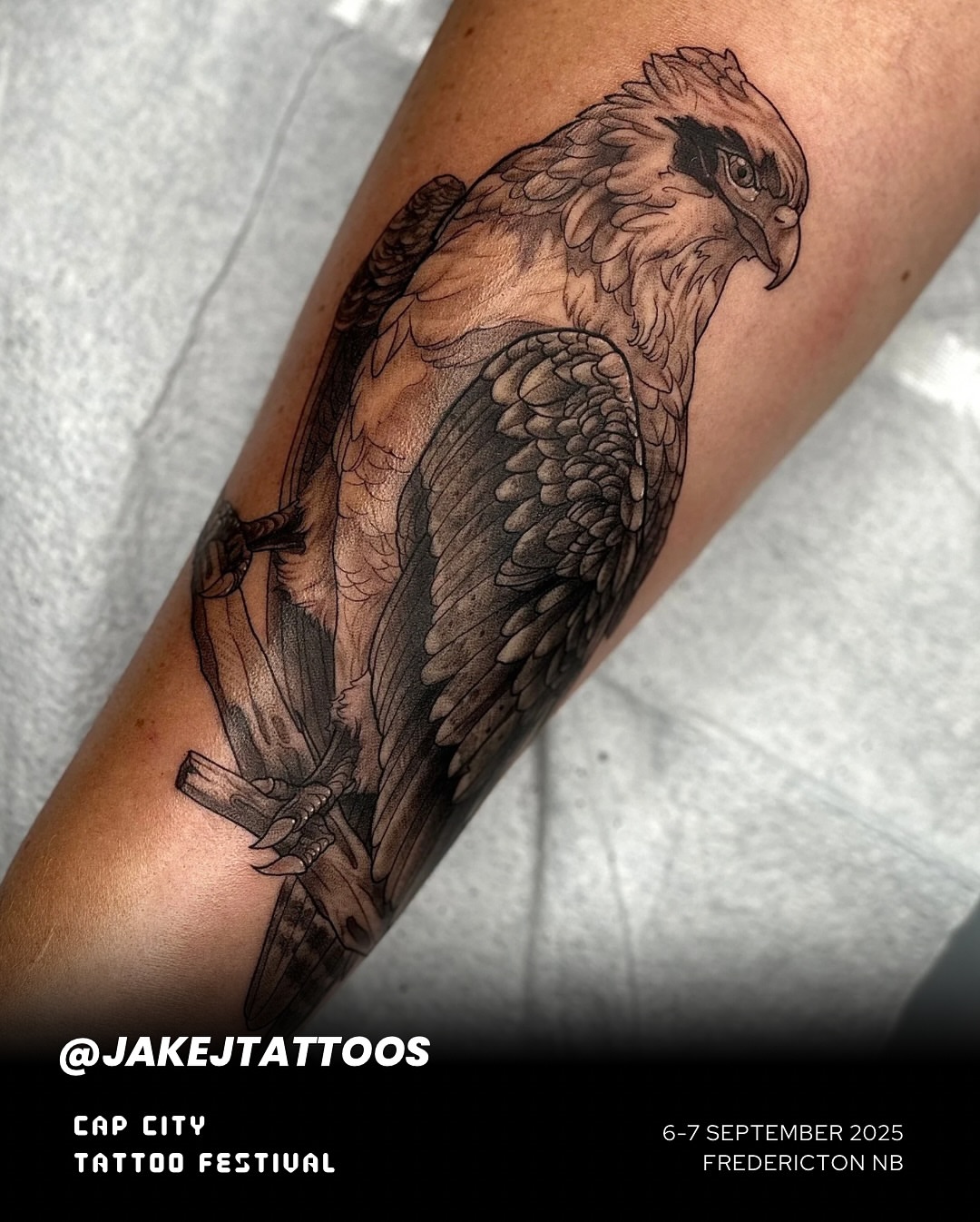 Hawk realism tattoo on the forearm by Son Salem