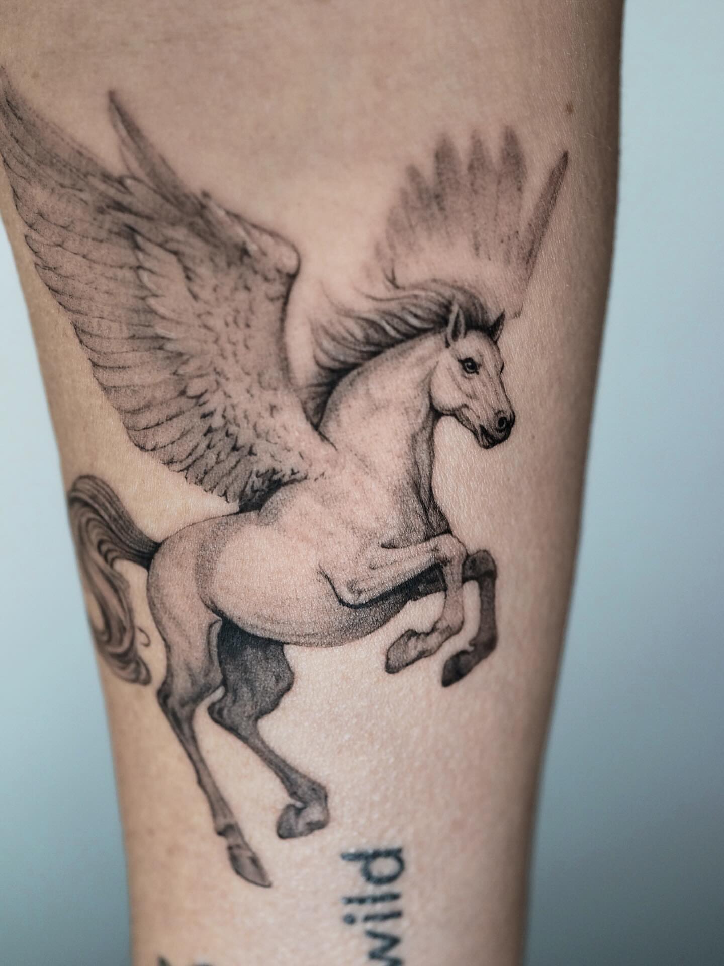 Pegasus black and grey tattoo on the forearm by Tattoo artist LA ། Fine line, Micro realism