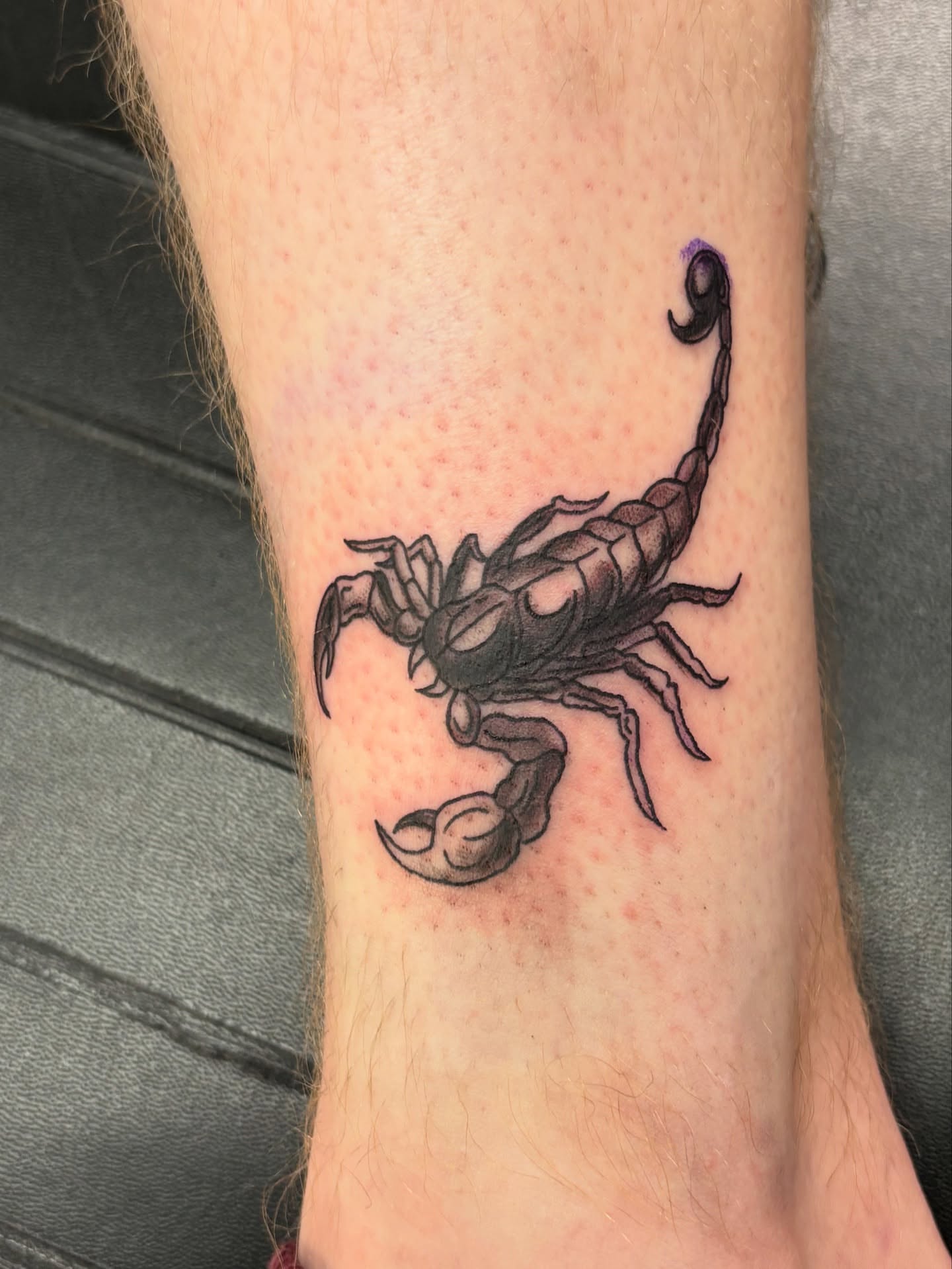 Scorpion black and grey tattoo on the forearm by Tori Anderson, Minneapolis, Minnesota