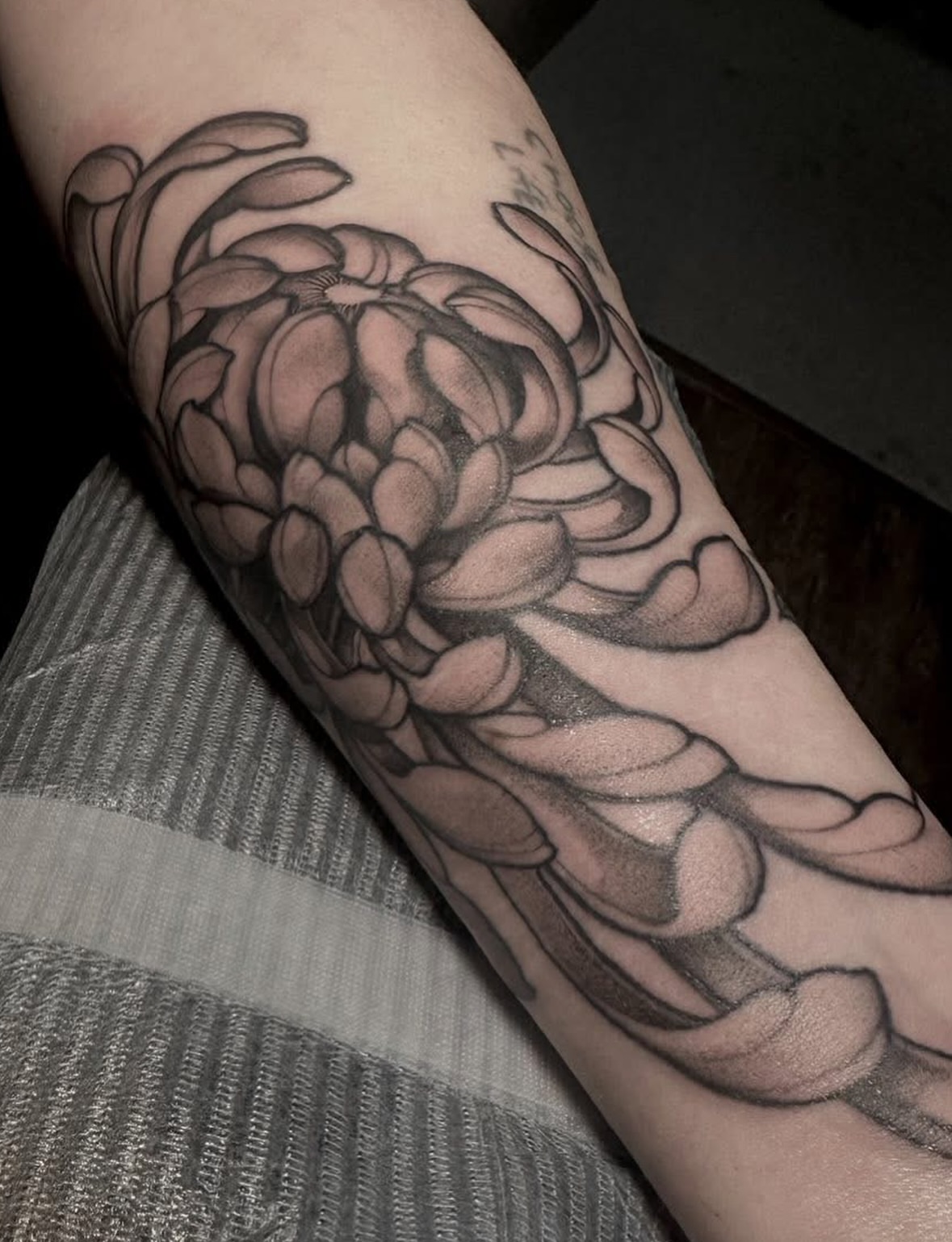Tattoo by @shriekingpossum — black_and_grey