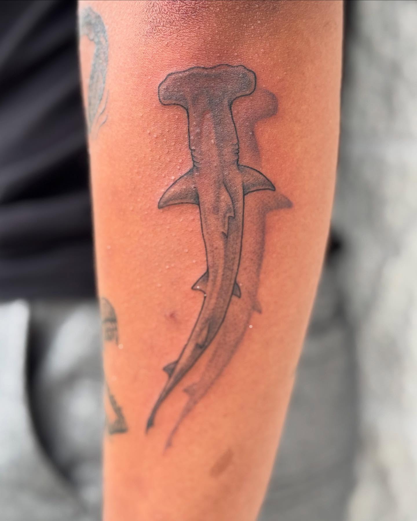 Hammerhead shark black and grey tattoo on the forearm by Cory Perry-Servellon
