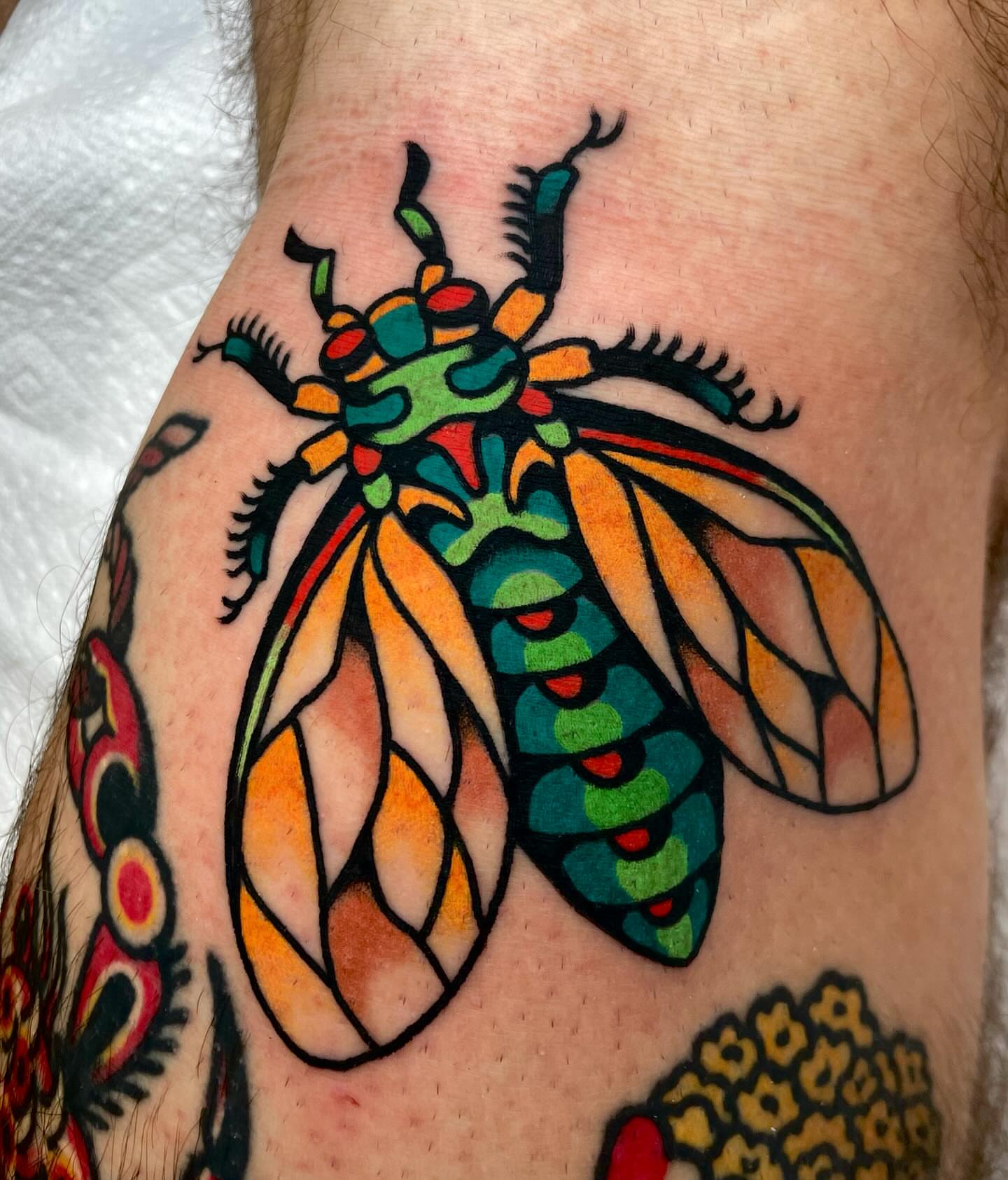 Mosquito American traditional tattoo on the forearm by Ryan McDonald