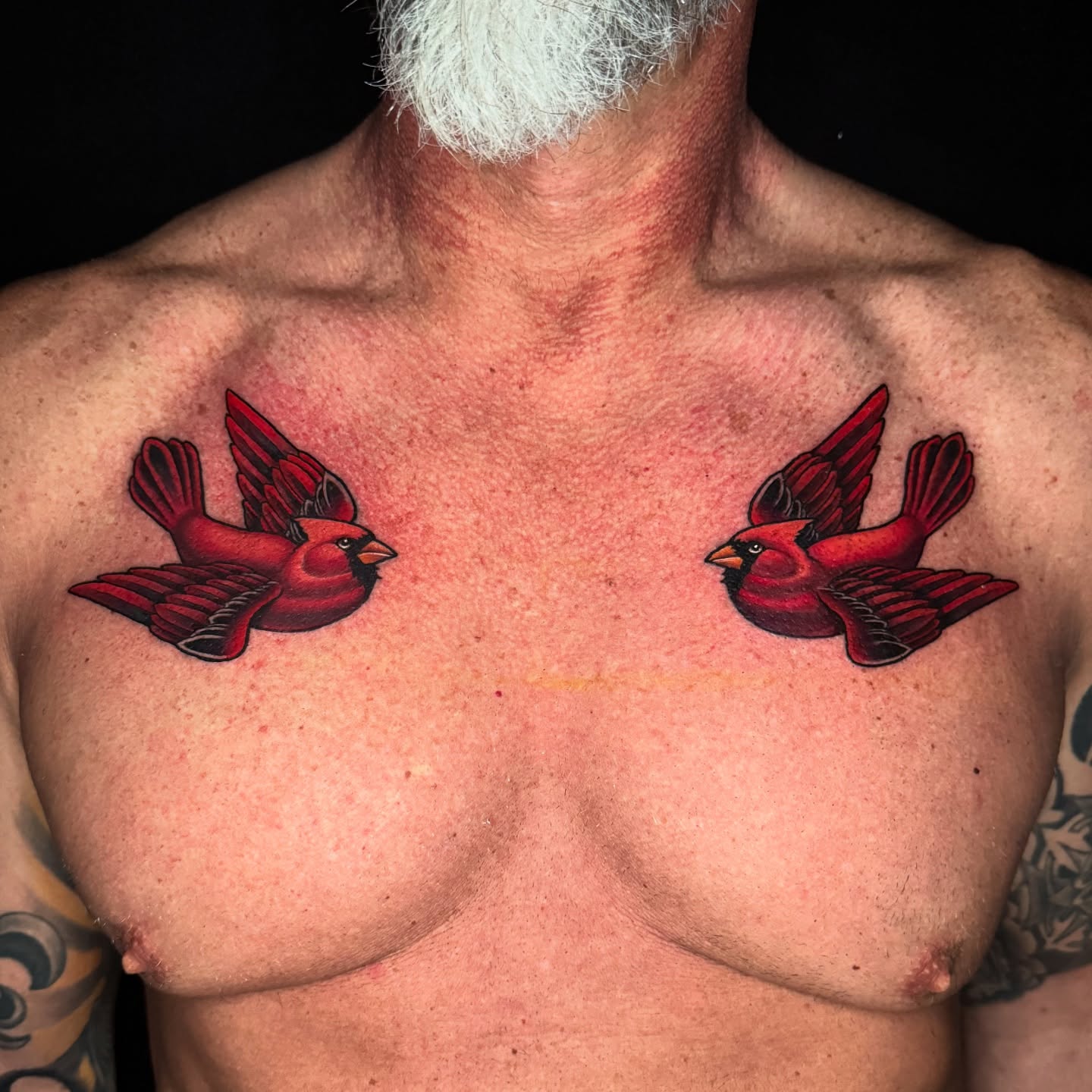Red cardinal birds American traditional tattoo on the chest by Joshua Orville Vaughn, Kansas City, Missouri