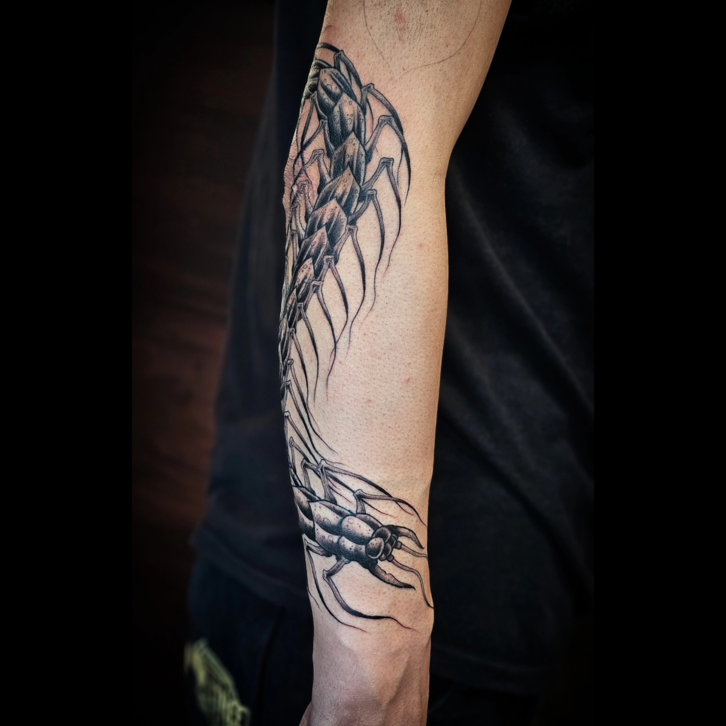 Tattoo by @doveandtoad — black_and_grey