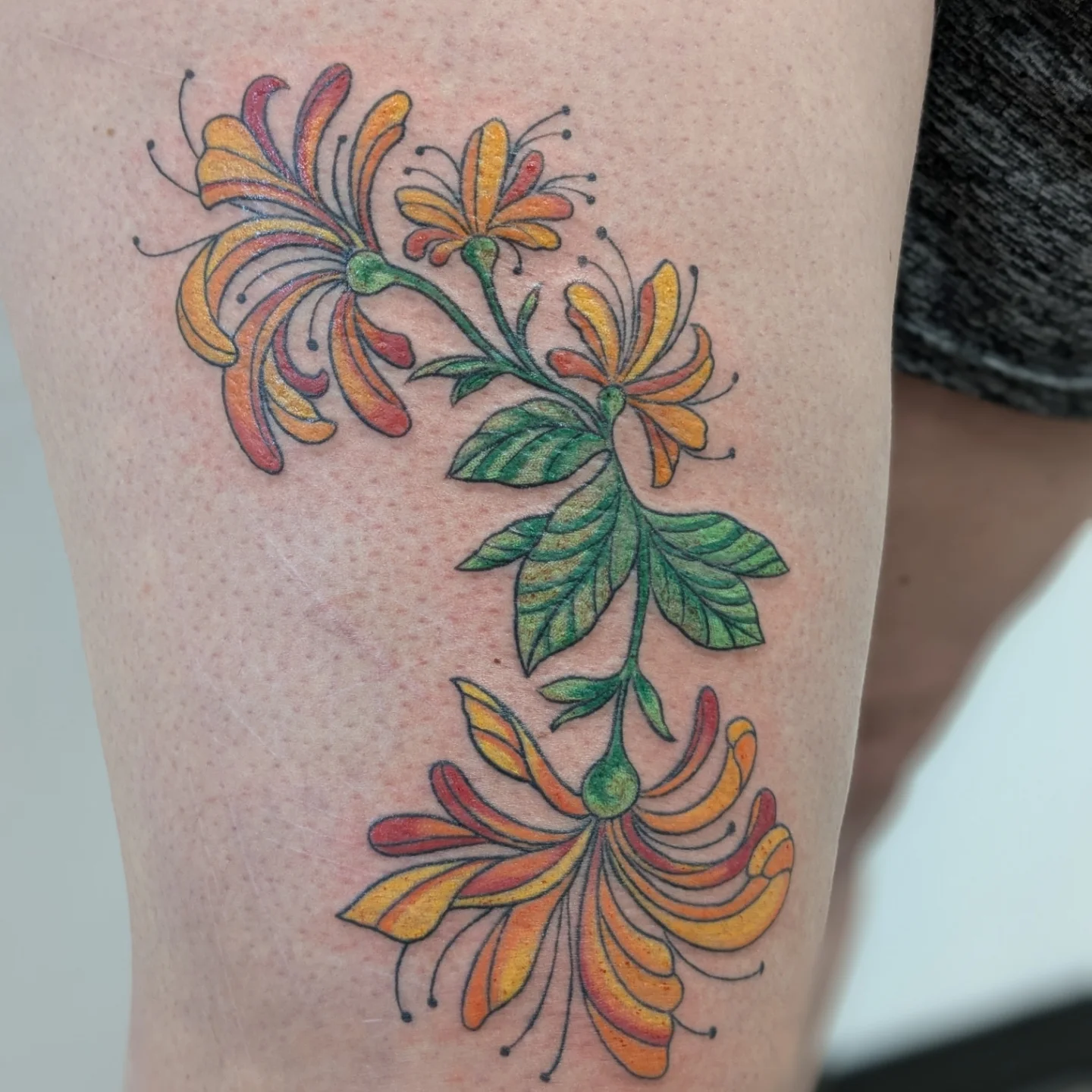Tattoo by @fernewt — new_school, dotwork