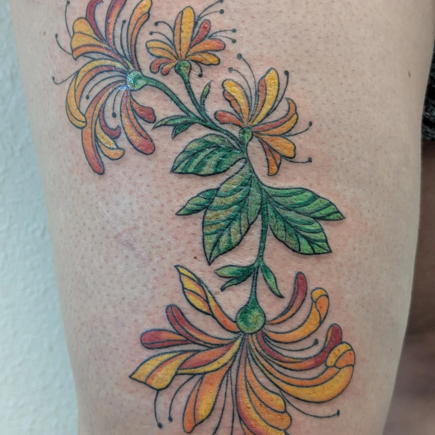 Tattoo by @fernewt — new_school, ornamental