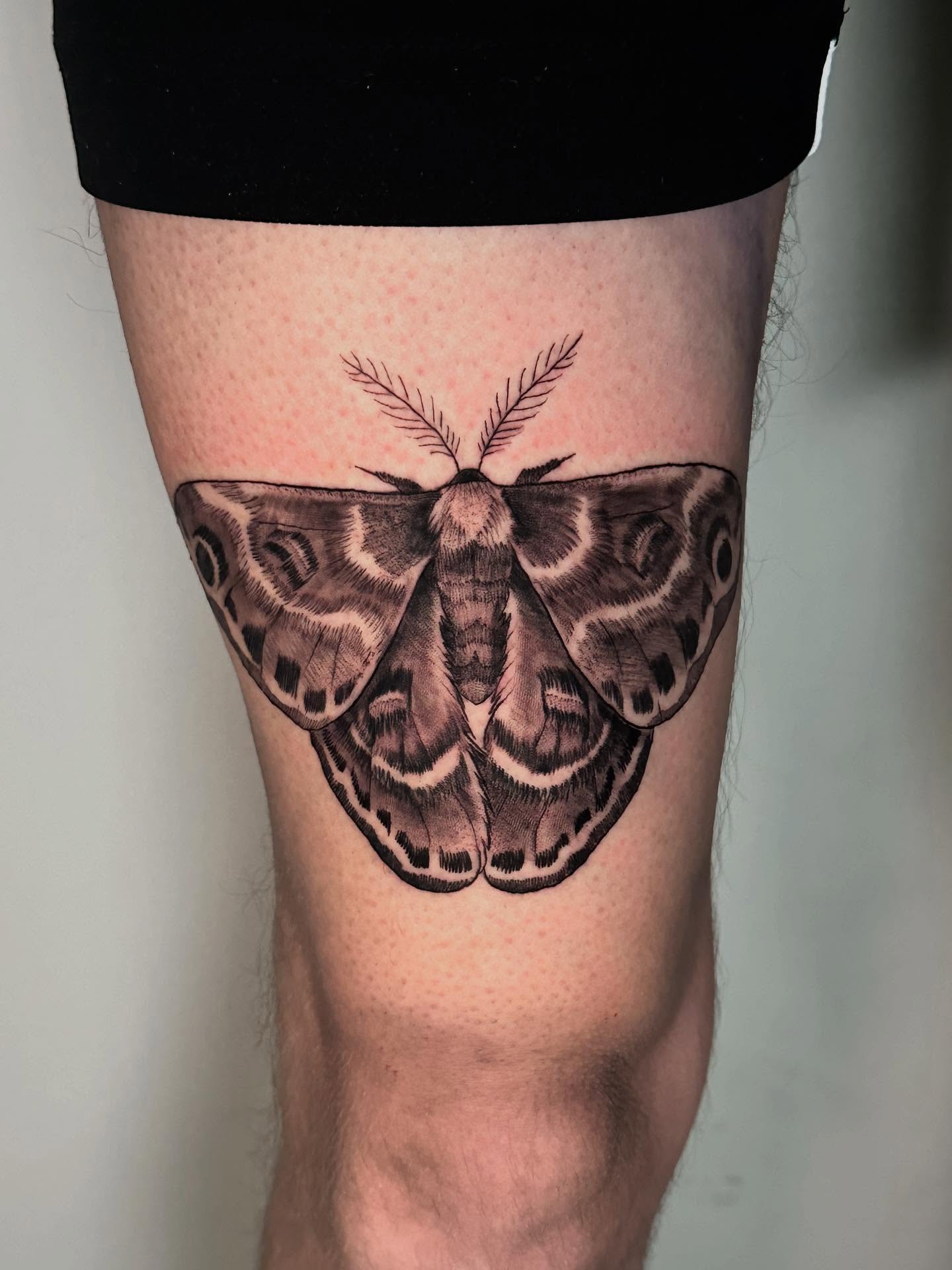 Moth realism tattoo on the thigh by Heather Tattoos Danvers MA