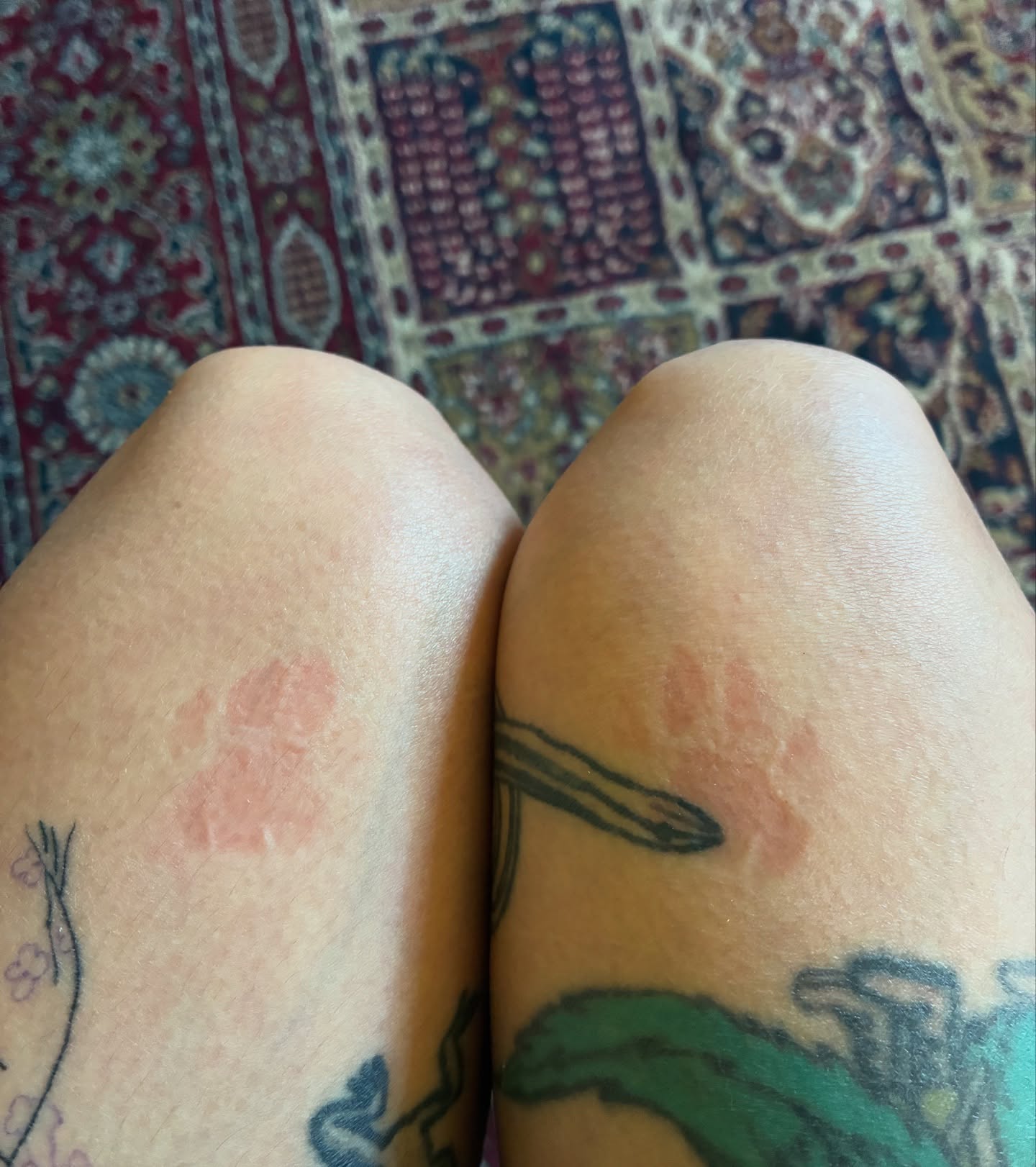 Asparagus American traditional tattoo on the leg by Steph Liebetreu