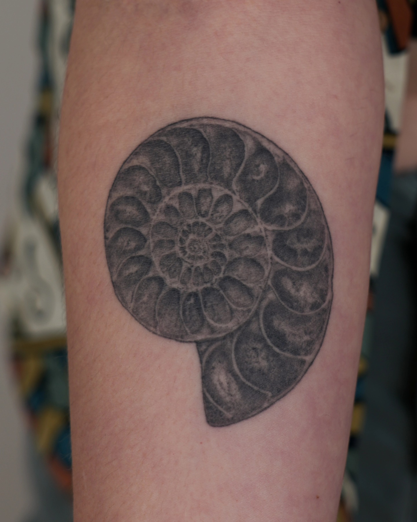 Nautilus shell black and grey tattoo on the forearm by ๐ฏ๐๐๐๐ ๐ท๐๐๐๐