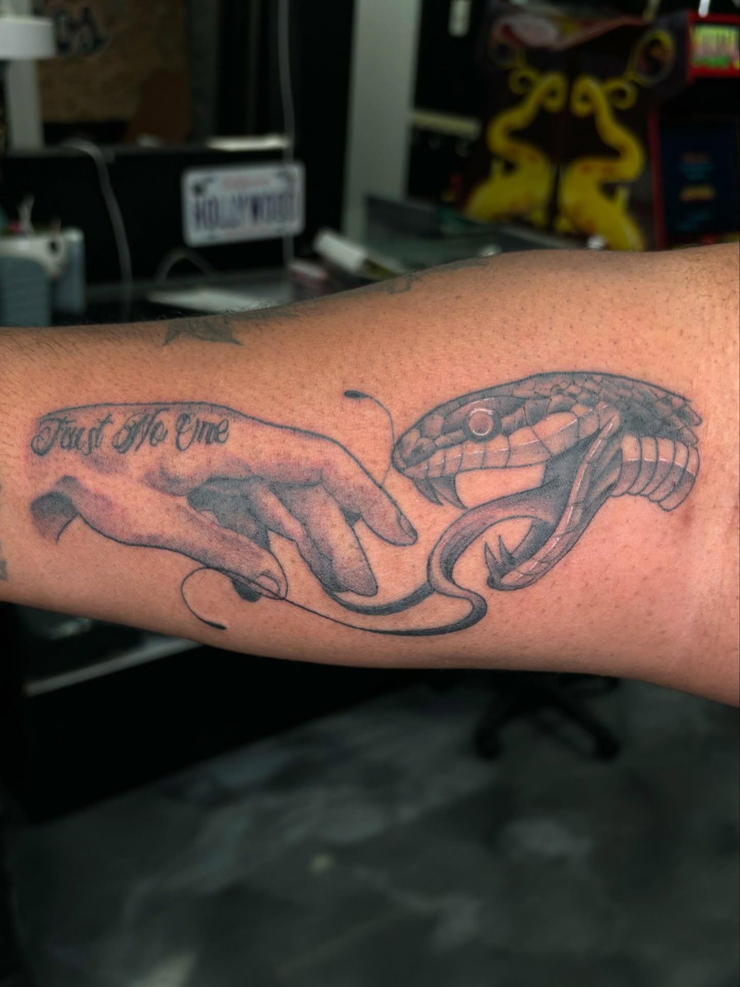 Snake and hand realism tattoo on the forearm by @seibastattoos, Virginia Beach, Virginia