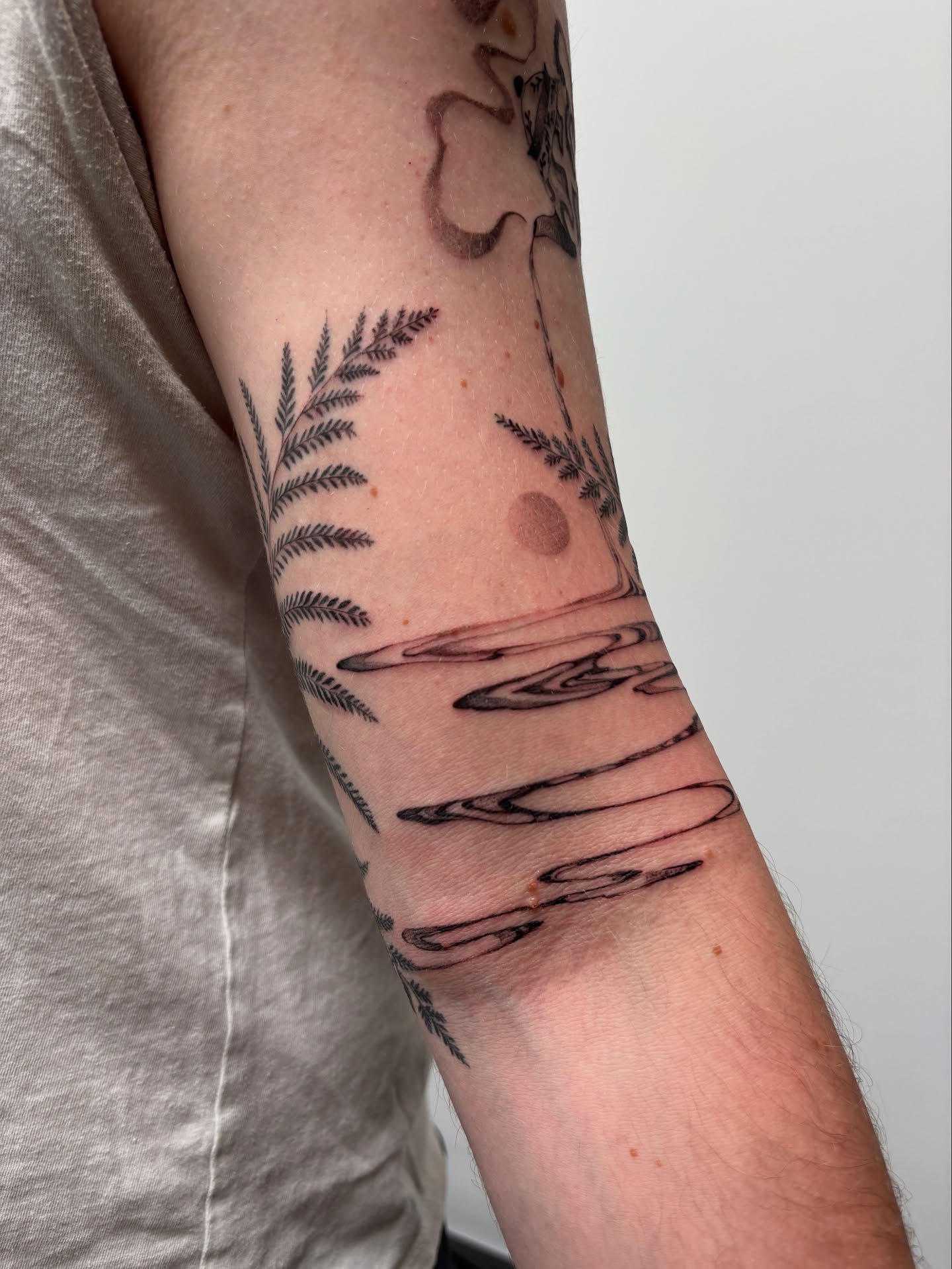 Fern leaves and ripples black and grey tattoo on the forearm by sago, Berkeley, California