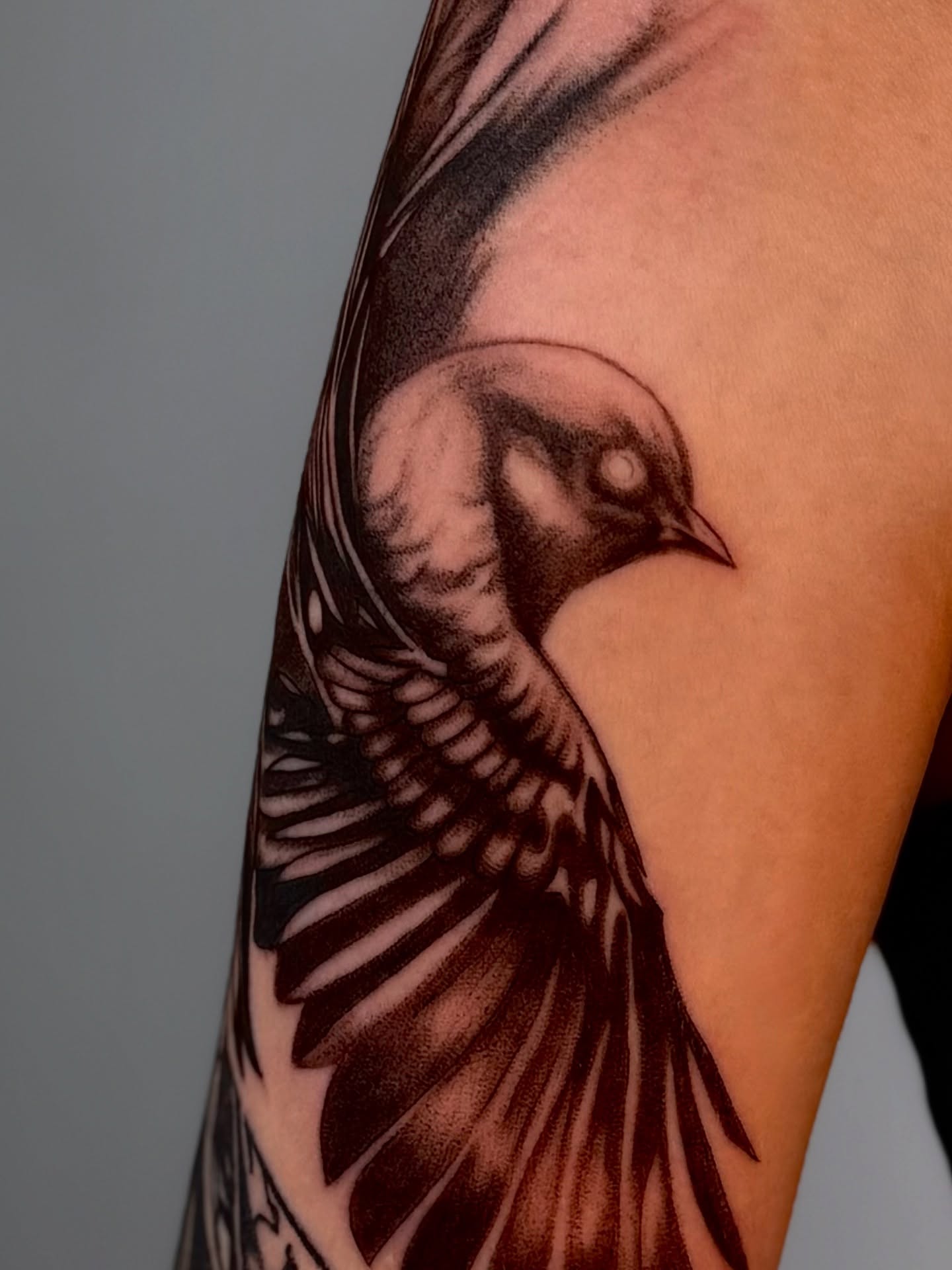 Bird black and grey tattoo on the upper arm by Виктория Лукьянова