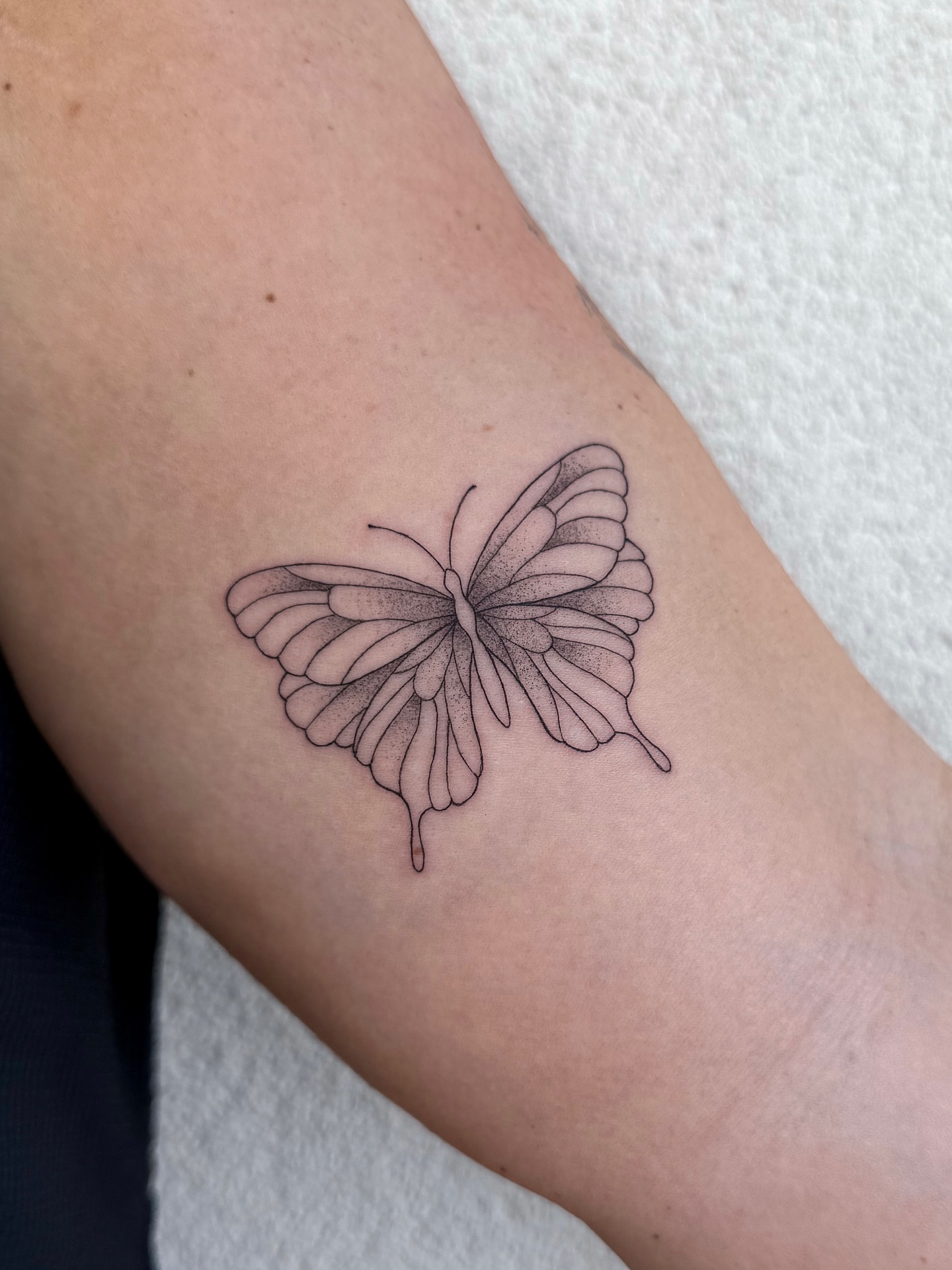 Butterfly dotwork tattoo on the forearm by Abby Robinson