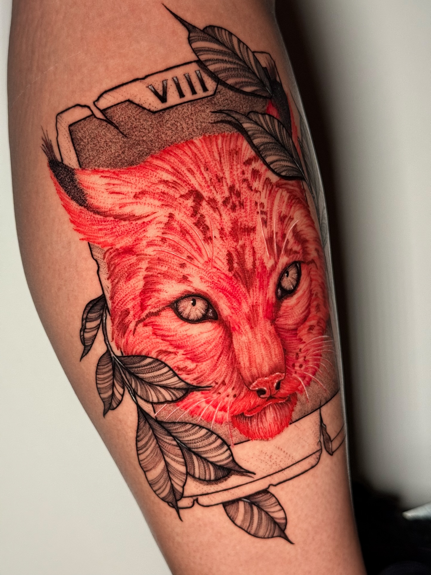 Red cat realism tattoo on the forearm by Tony Murray