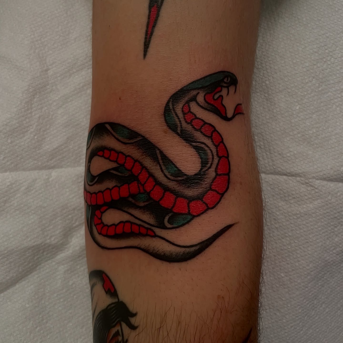 Snake American traditional tattoo on the forearm by Texas Jonah