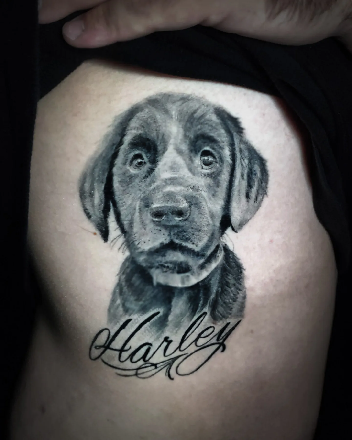 Tattoo by @rexroxwell — realism