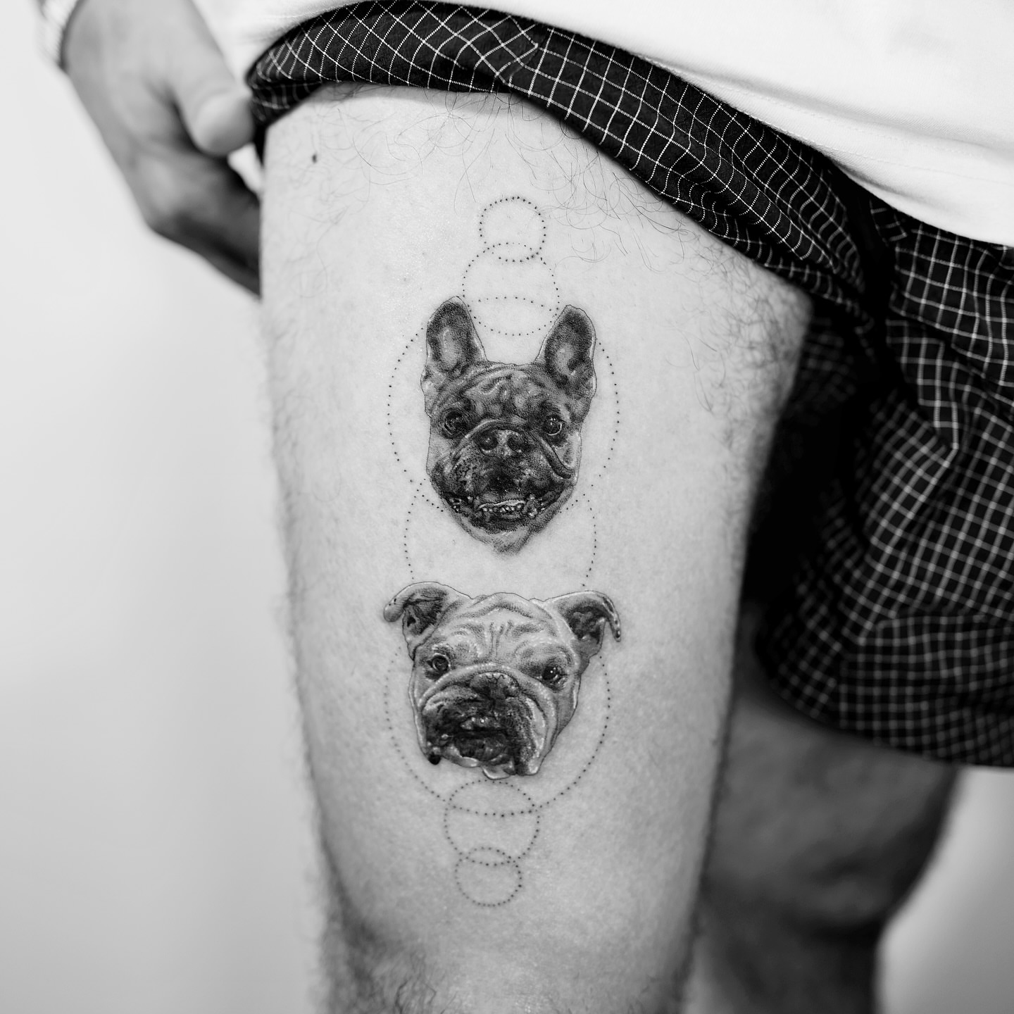 Bulldogs dotwork tattoo on the thigh by Ross Clark Tattoos