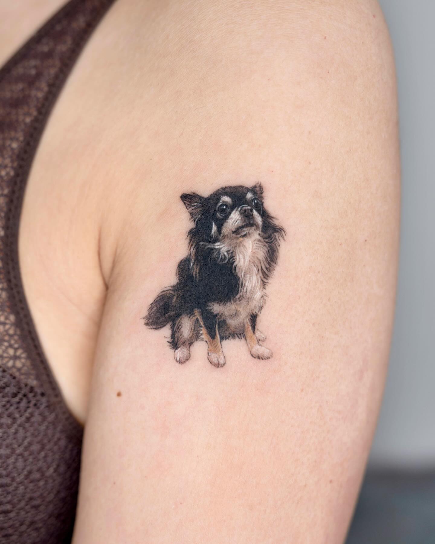 Chihuahua realism tattoo on the upper arm by Zeeyo 지요