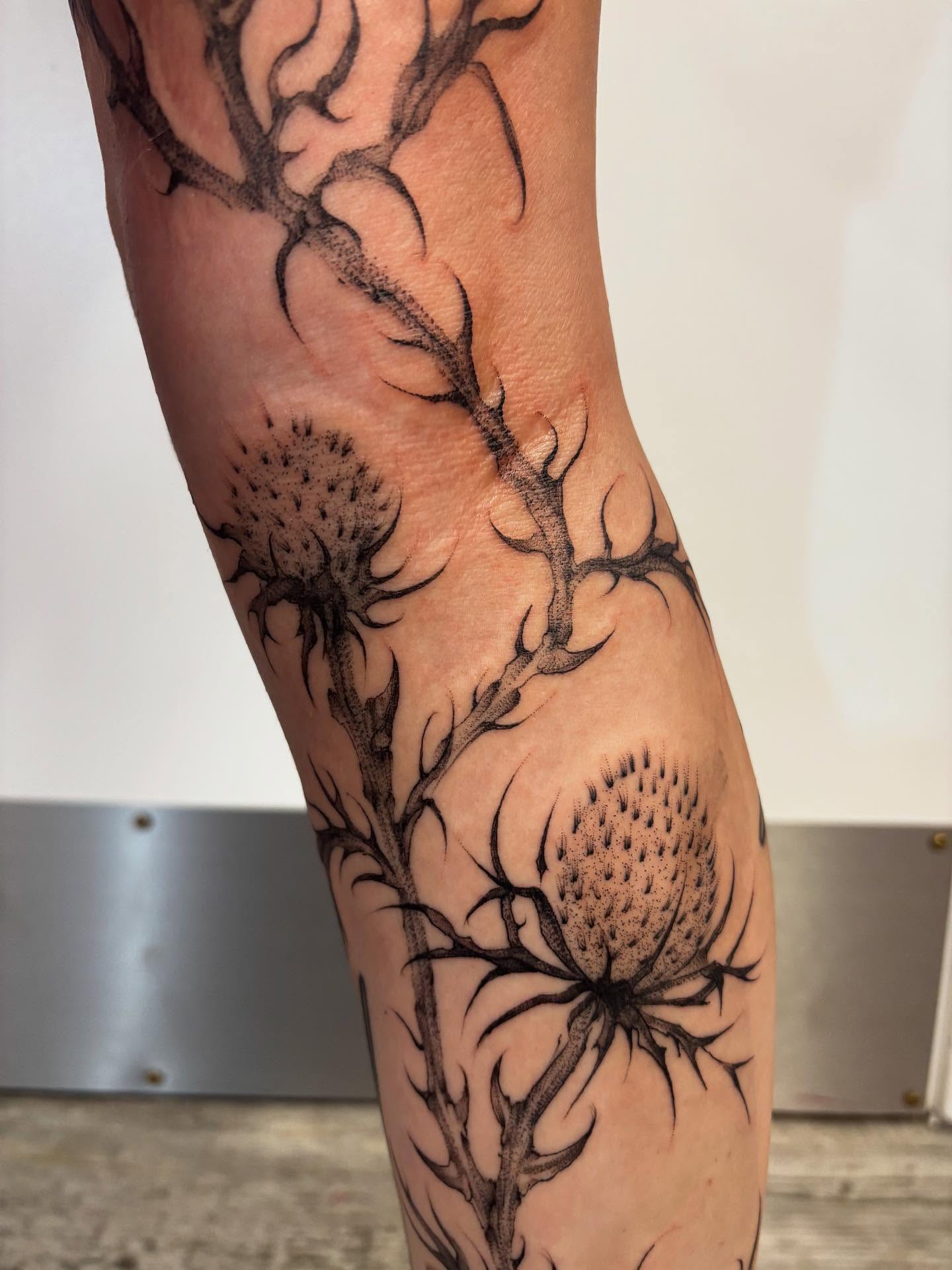 Thistle black and grey tattoo on the forearm by βΏ π’πͺπΆπͺπ·π½π±πͺ ππͺπ βΏ