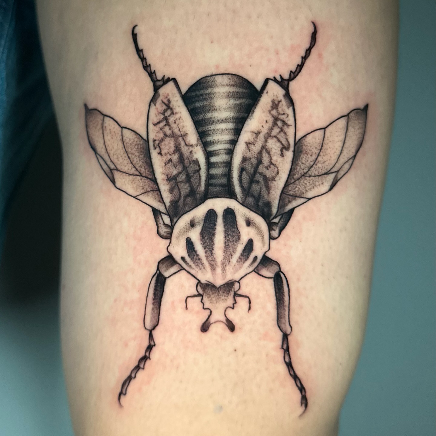 Tattoo by @coldbratpokes — black_and_grey, realism