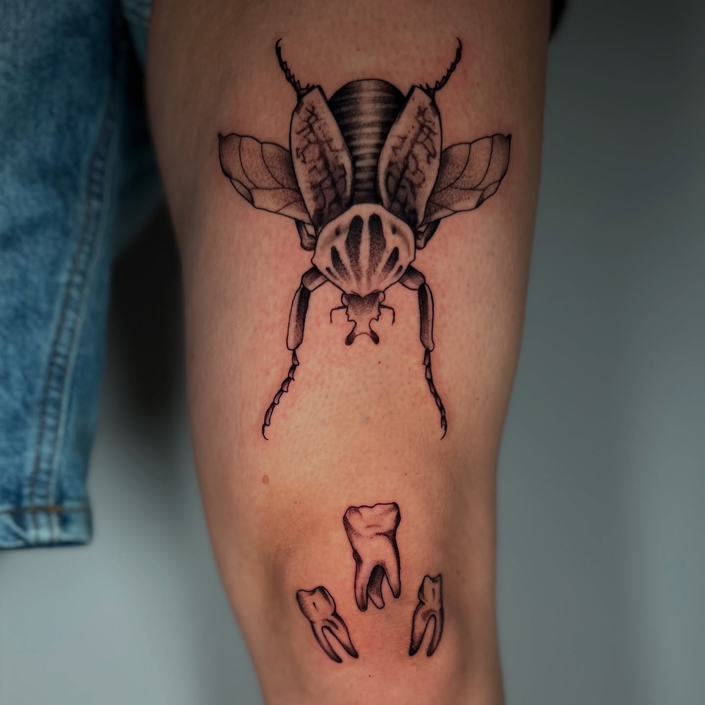 Insect black and grey tattoo on the forearm by zoe mars