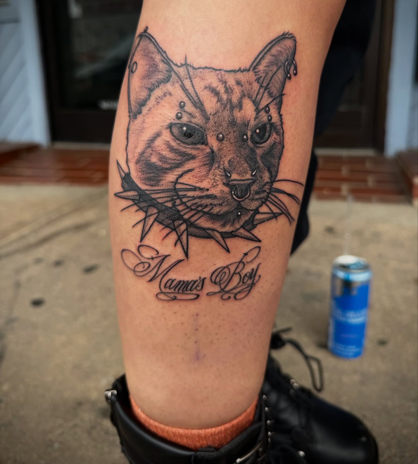 Cat realism tattoo on the forearm by Carly🪲 greensboro tattoo artist, Greensboro, North Carolina