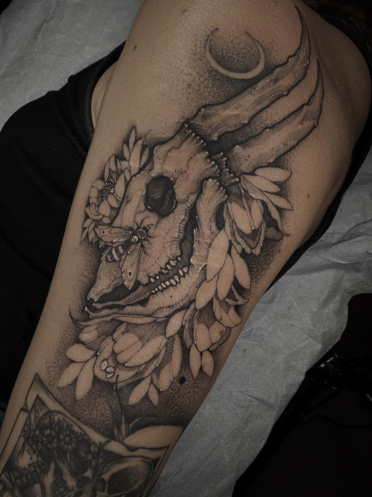 Skull with flowers and moth dotwork tattoo on the forearm by π· C a t B l a c k π·οΈ