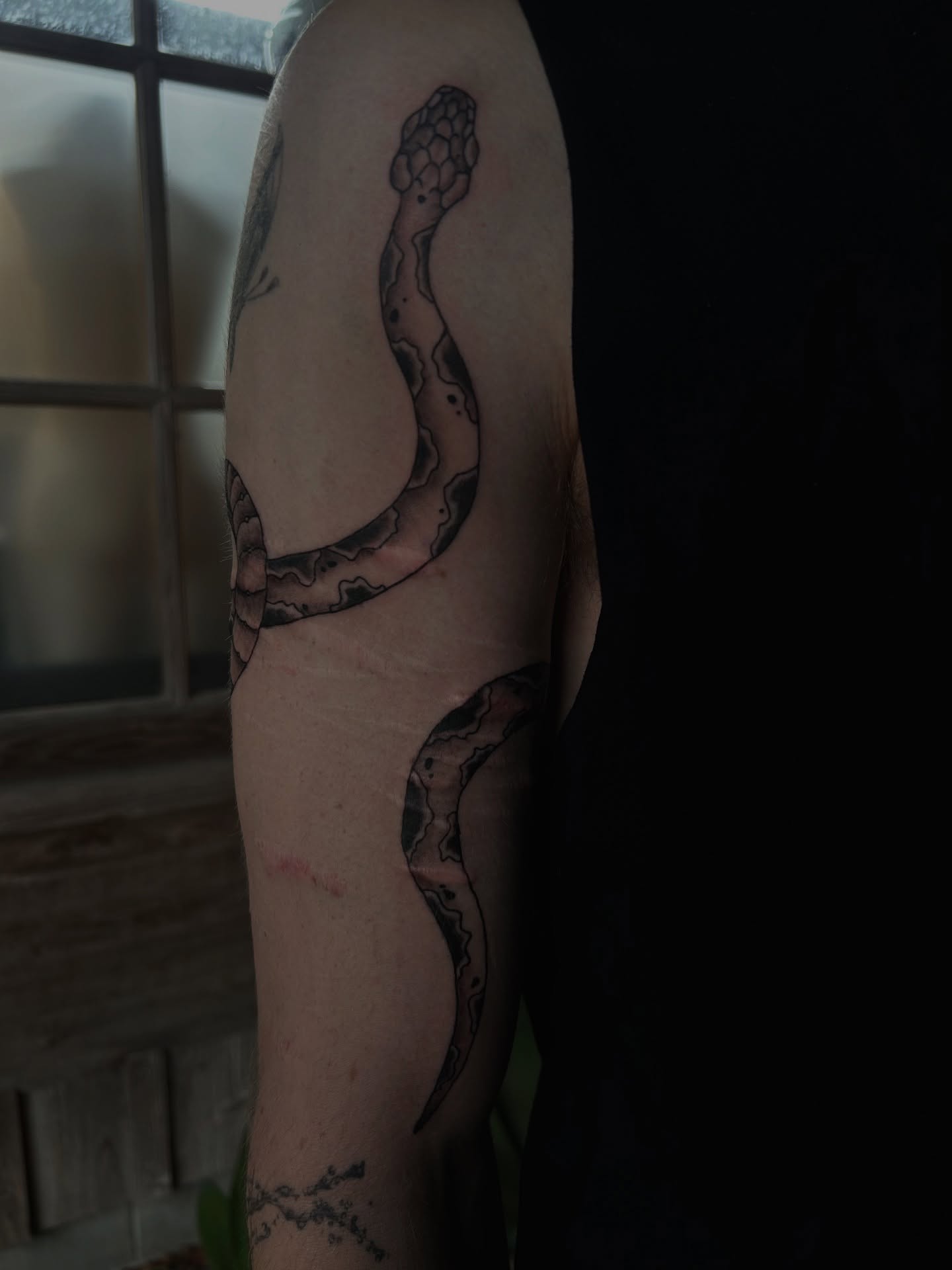 Snake black and grey tattoo on the forearm by Amara Lyons, Matakana, New Zealand
