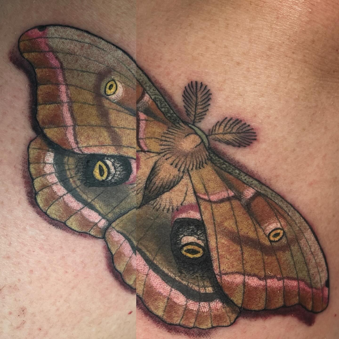 Tattoo by @la_ciscolita — realism
