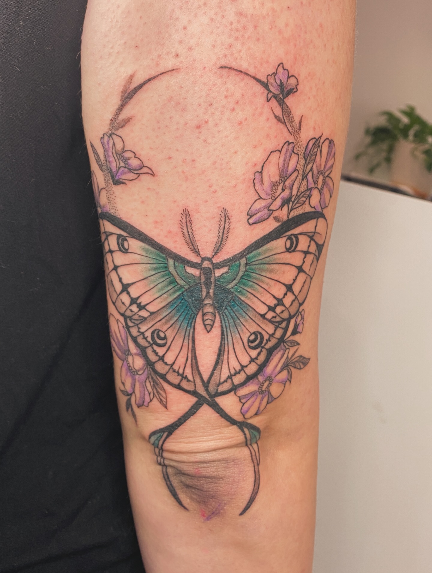Tattoo by @krookedtattoos — new_school, realism