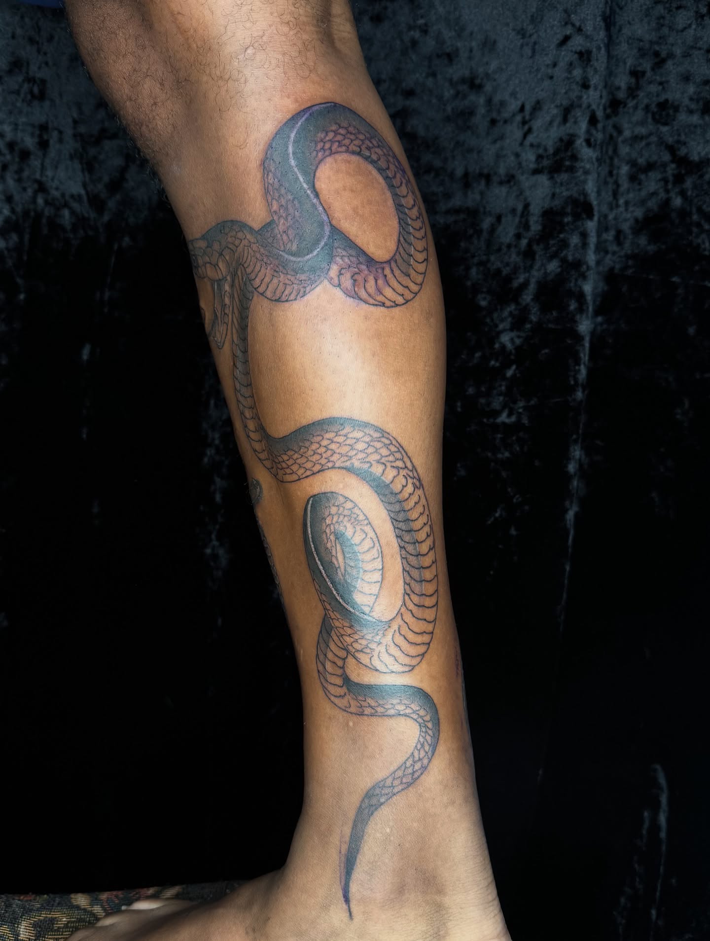 Snake black and grey tattoo on the calf by @inkedbybanti