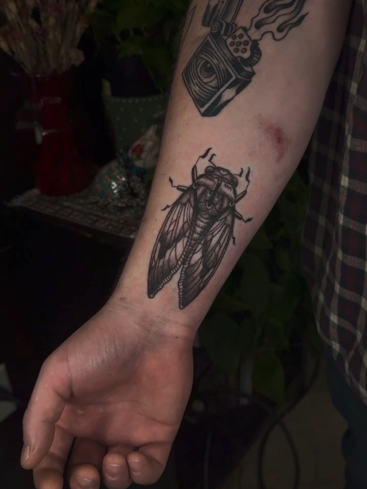 Cicada black and grey tattoo on the forearm by πππͺ‘