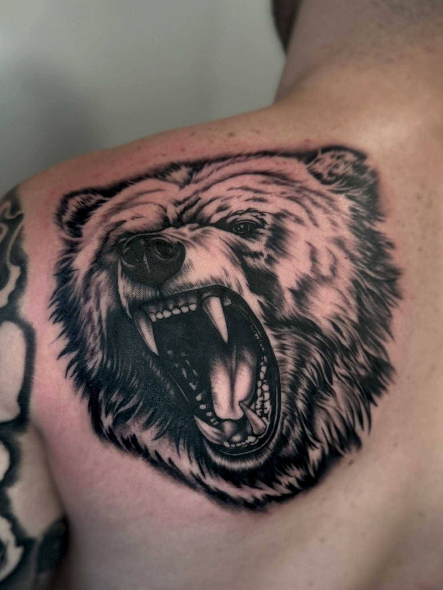 Angry bear realism tattoo on the shoulder by Gabriel Quintana “Q”