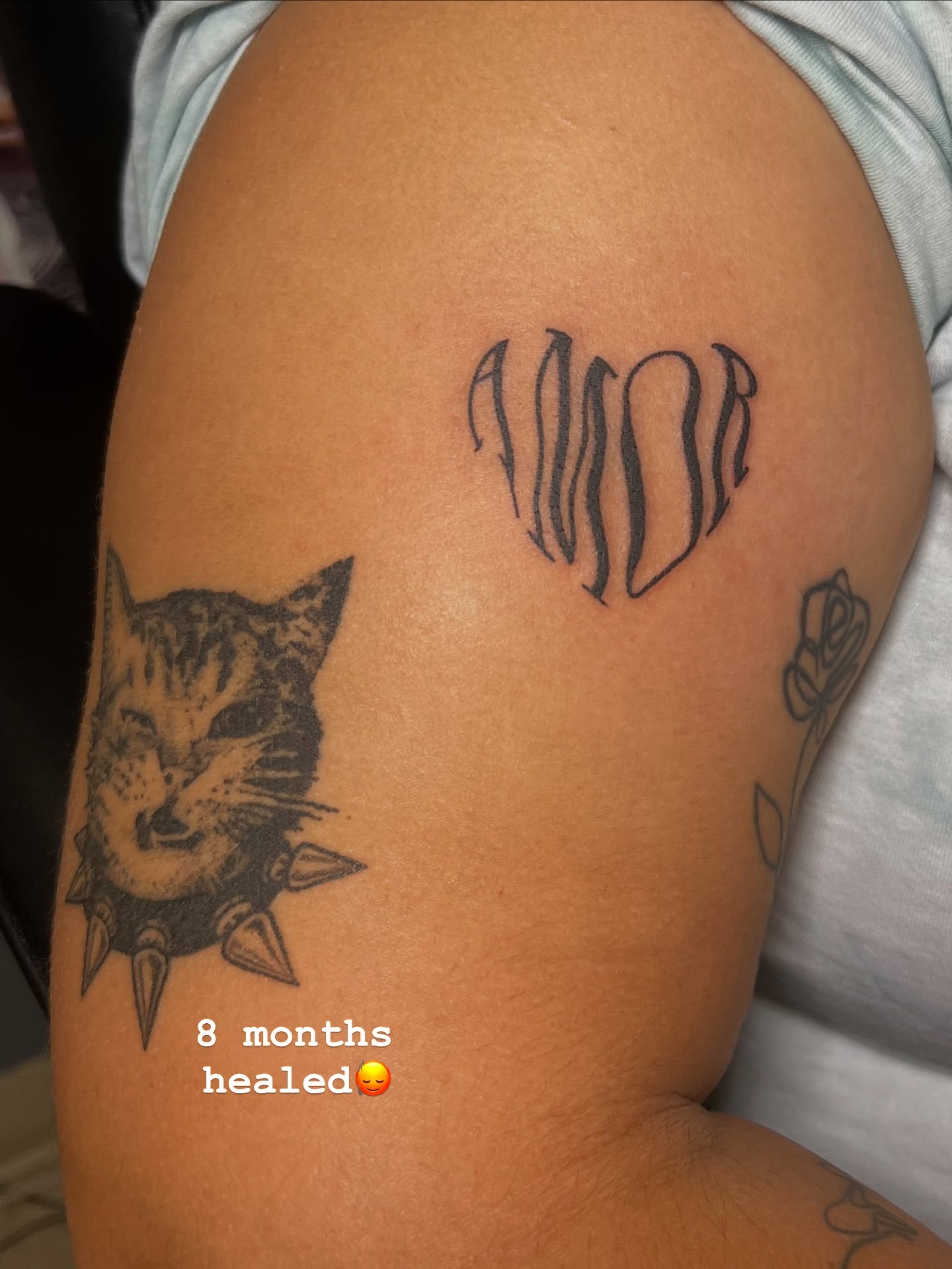 Cat and heart black and grey tattoo on the upper arm by tatman cris 🥀 dfw tattoo artist