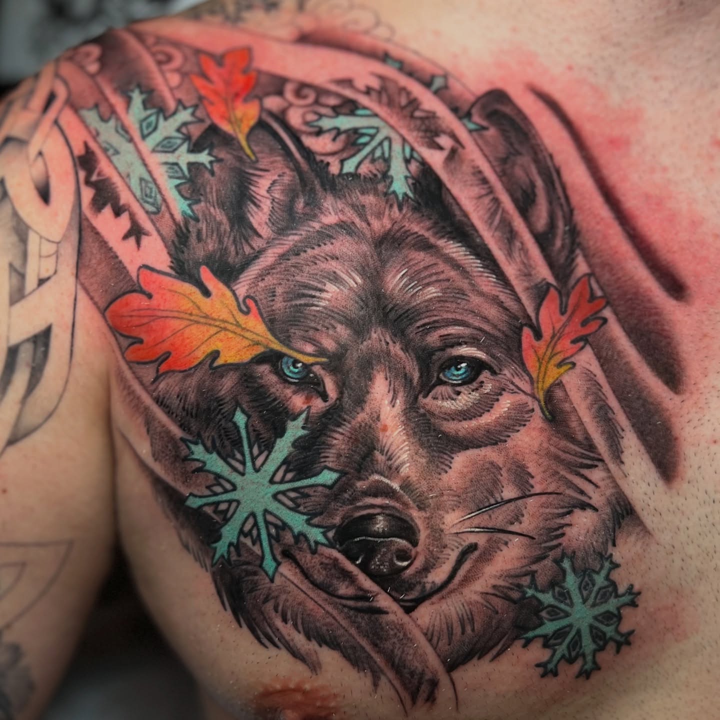 Wolf realism tattoo on the shoulder by Fredd Chino