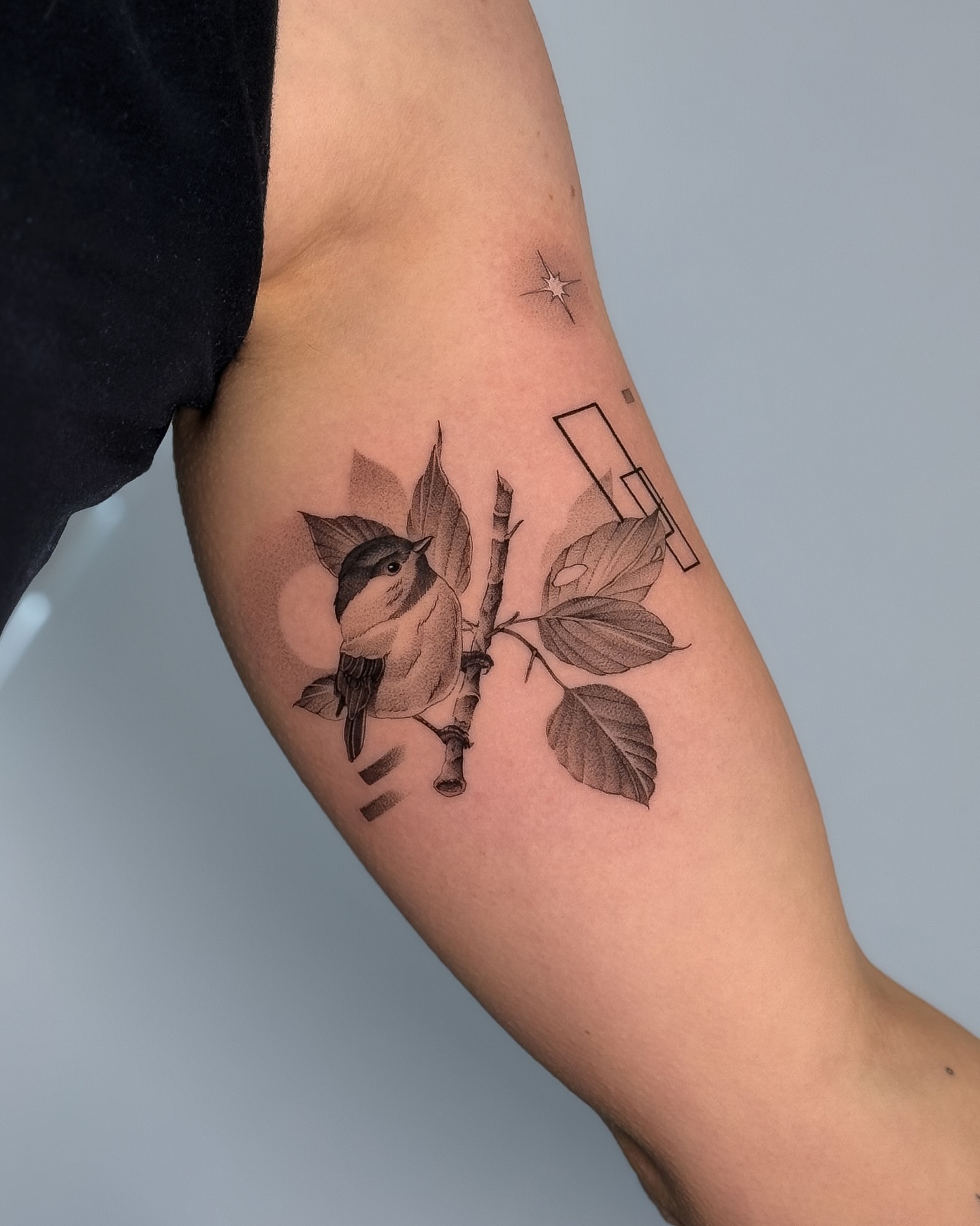 Bird perched on branch realism tattoo on the forearm by ♡ 𝕍𝕚𝕔𝕥𝕠𝕣𝕚𝕒 ℍ𝕠𝕝𝕞𝕖𝕤 ♡, Avon, Ohio