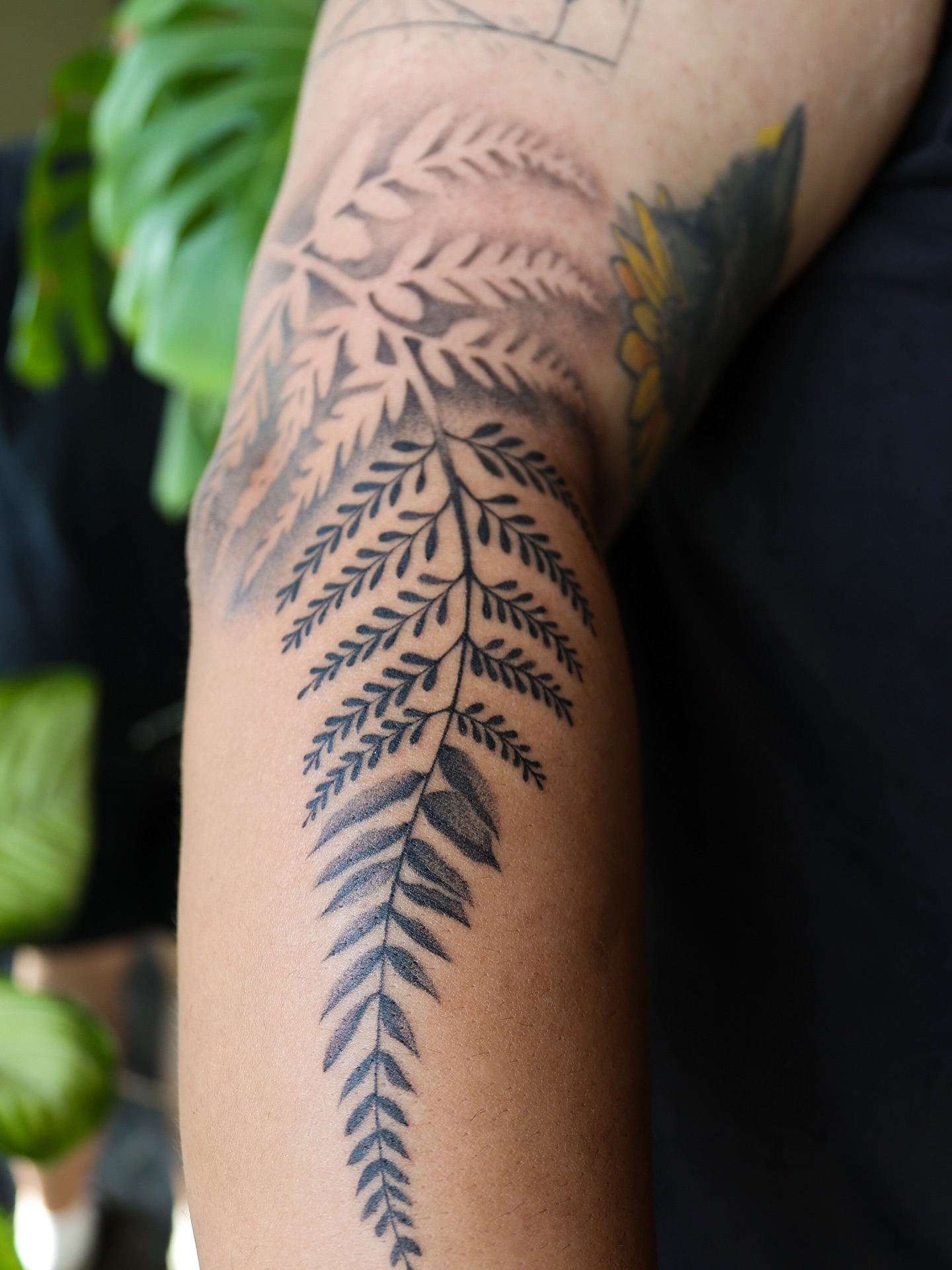 Fern black and grey tattoo on the forearm by Beans