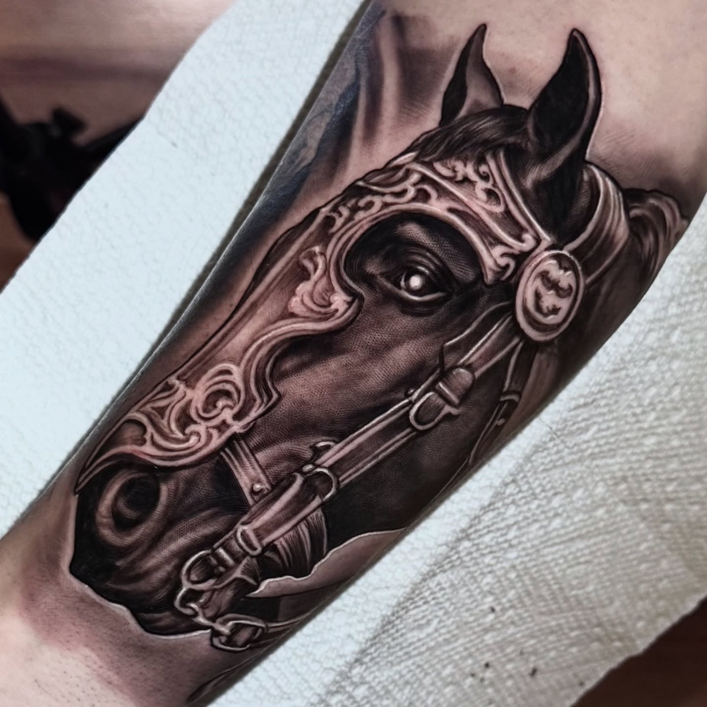 Horse head realism tattoo on the forearm by Jake Fujimura