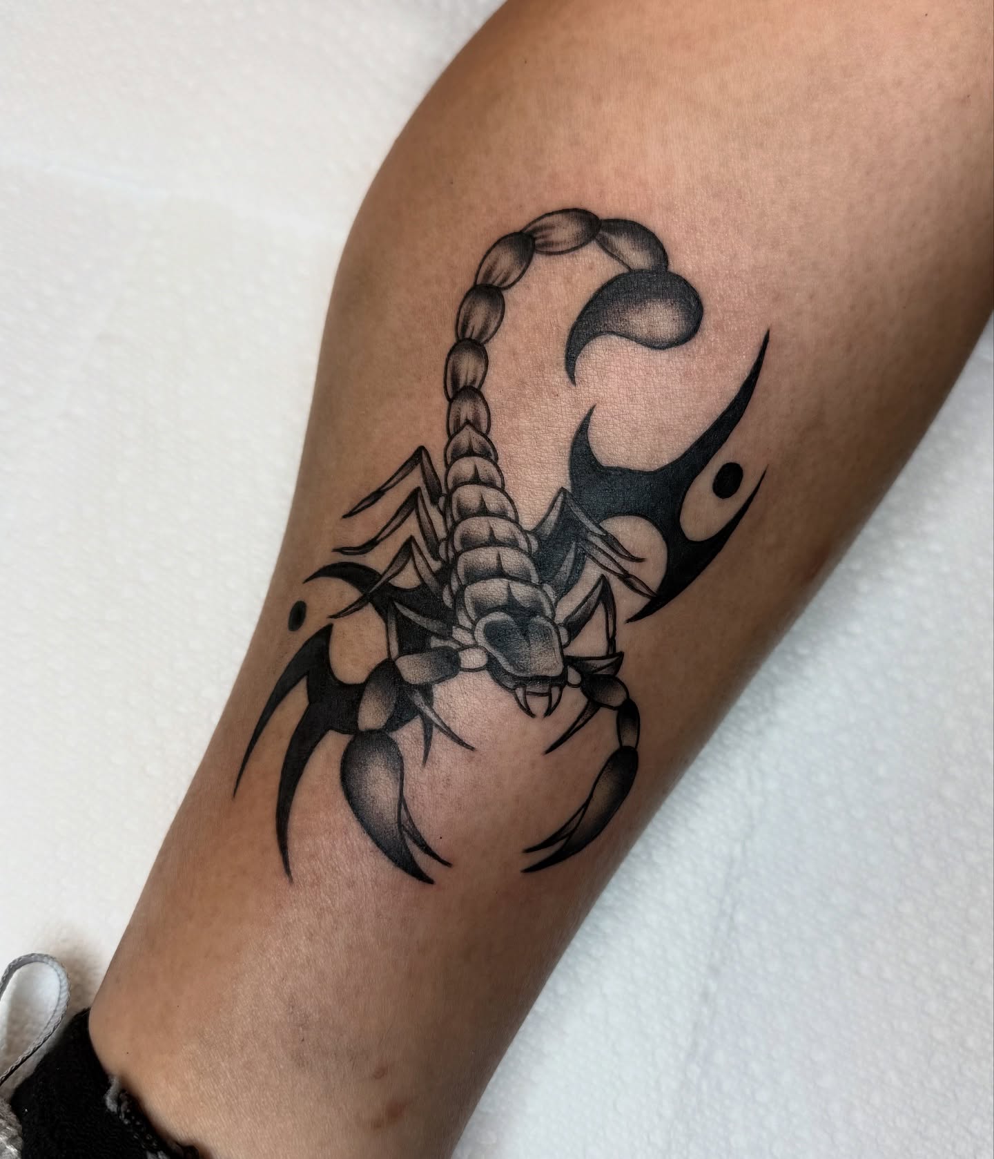 Scorpion tribal tattoo on the forearm by dinah