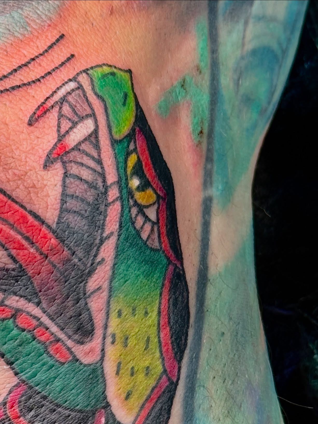 Snake American traditional tattoo on the forearm by goose 🪿