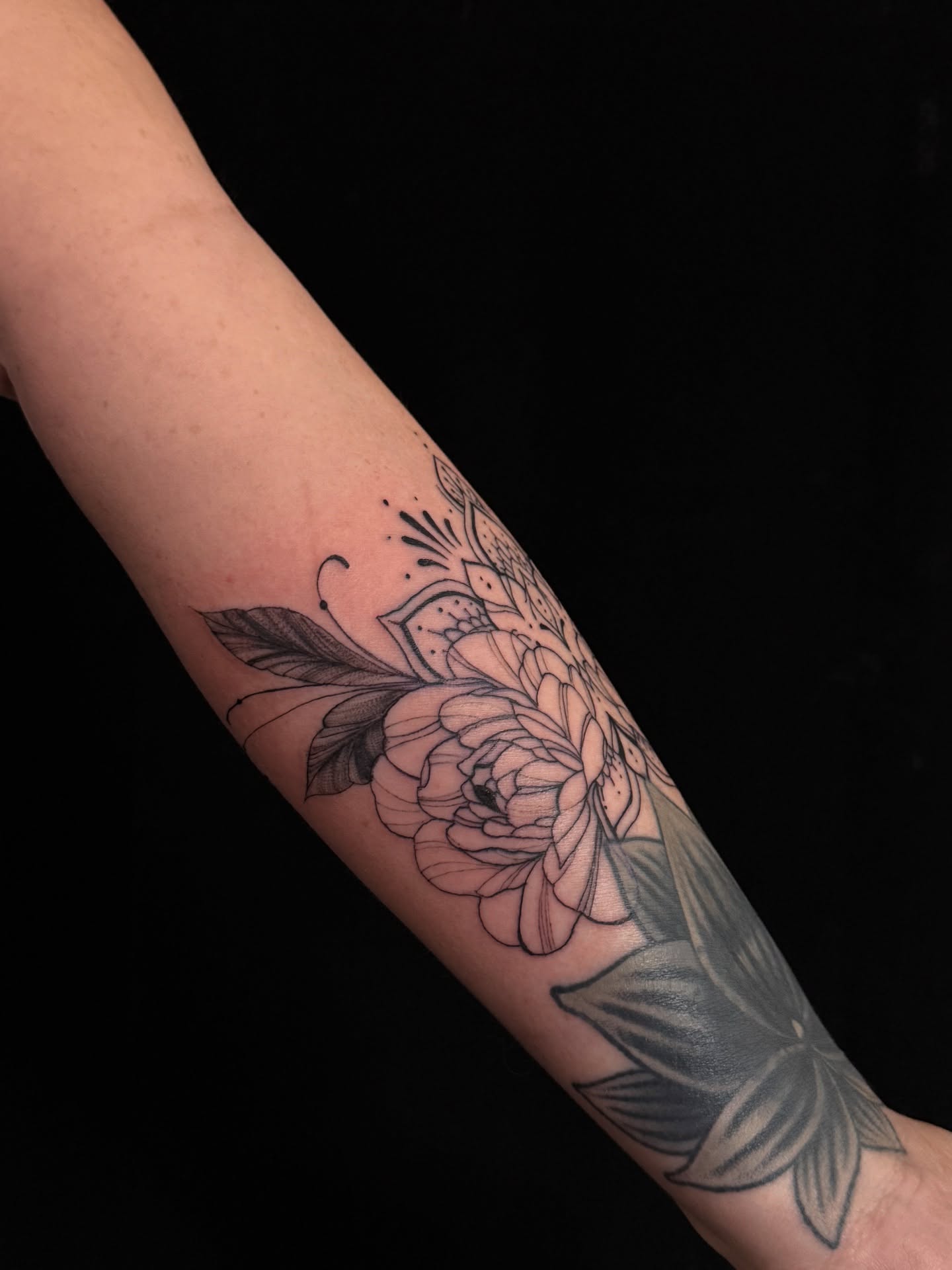 Peony black and grey tattoo on the forearm by ᴍᴀɢɢɪᴇ ✧, Las Vegas, Nevada